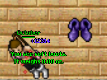 SoftBoots.png